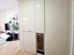 Skysuites@Anson (D2), Apartment #592451551